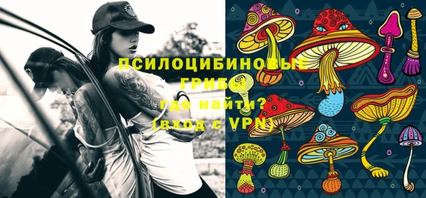 прущие грибы Сосновоборск
