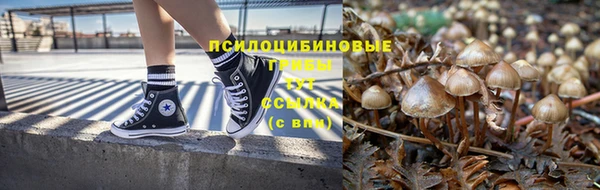 шишки Баксан
