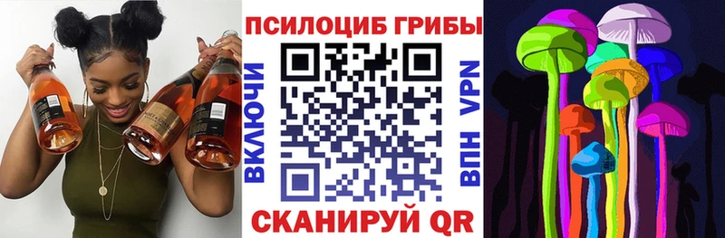 хочу   Верхнеуральск  Галлюциногенные грибы Psilocybe 